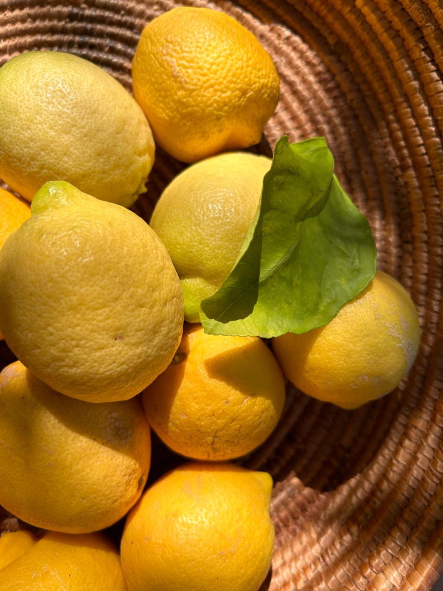 Vireo Rooms سانتا ماريا نافاريز المظهر الخارجي الصورة